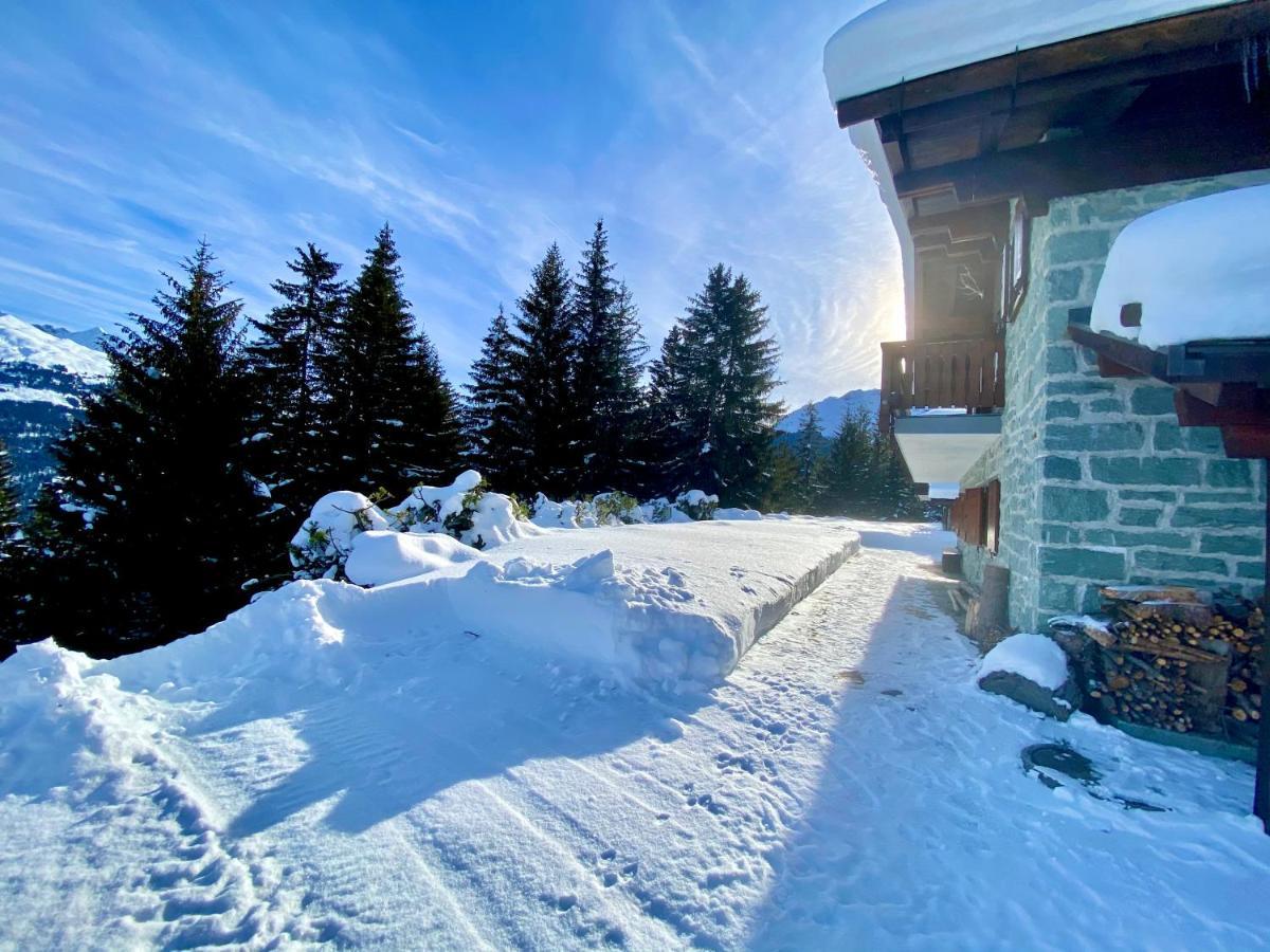 Chalet Wulli In Der Naehe Der Skianlagen Савоньин Экстерьер фото