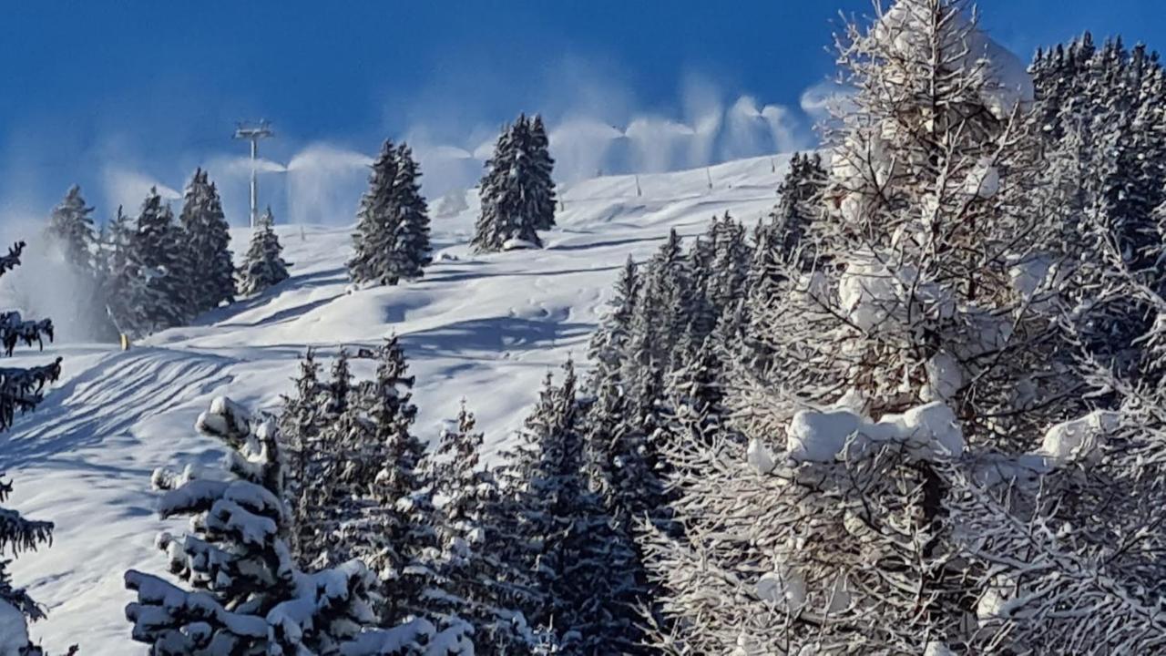 Chalet Wulli In Der Naehe Der Skianlagen Савоньин Экстерьер фото